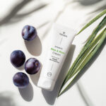 00_aloe_plum 2 (1)