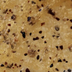Professional_lemongrass_200g_1500x1500_5